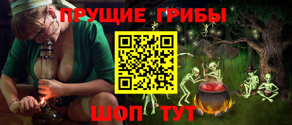 Псилоцибиновые грибы Cubensis Евпатория